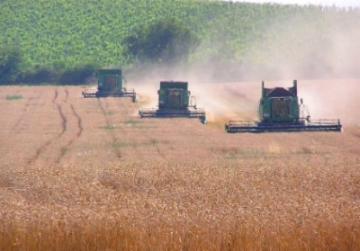 Польские аграрии обеспокоены ростом импорта продукции из Украины