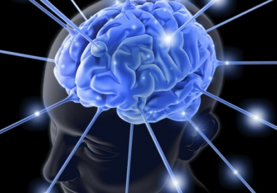 Ученые объяснили уменьшение мозга современного человека