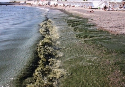 Черное море почти вдвое грязнее Средиземного - ЕС и ПРООН