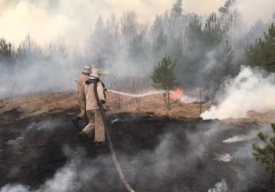 Рятувальники зупинили розповсюдження вогню у Чорнобильській зоні