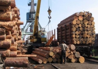 СБУ запобігла контрабанді цінної деревини в ЄС на 300 тисяч євро