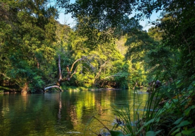 У джунглях Амазонії – рекордна посуха