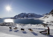 Льодовики в Альпах зникають із рекордною за 60 років швидкістю 
