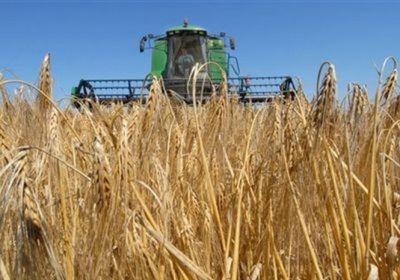  Україна встановила рекорд з експорту зерна
