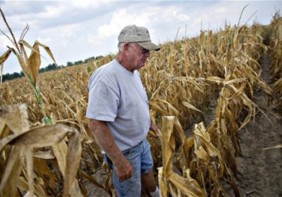 Посуха в США призвела до підвищення цін на зернові