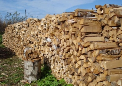 Уряд виділив 563 млн грн на дрова для жителів прифронтових територій