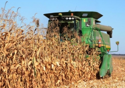 ЕС вновь ввел пошлину на кукурузу, рожь и сорго