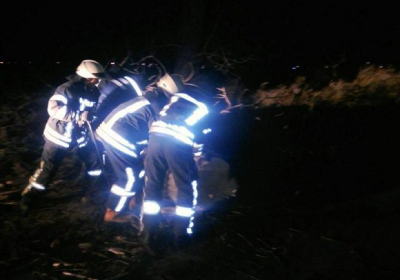 На Київщині через падіння дерева загинула жінка