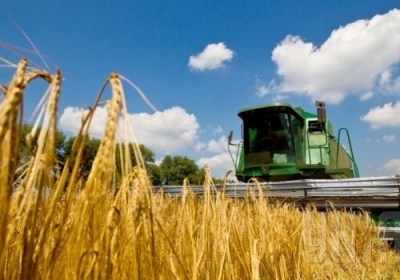 Замбія хоче імпортувати українську пшеницю, бобові та кукурудзу 