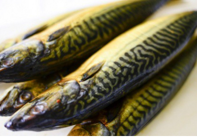 Нелегальный цех по копчению и вяления рыбы и обнаружила полиция вблизи Днепра