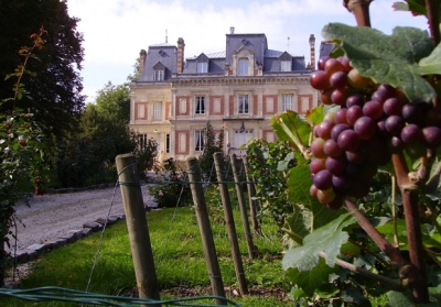 Франція ввела податок на вино