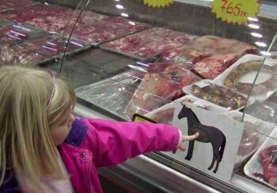 Nestle і Lidl вилучають з продажу продукти з яловичини, у яких знайшли кінське м'ясо