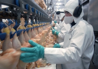 Україна знову експортує курятину в Європу 