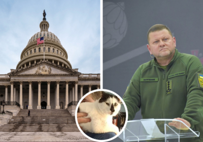 Естетика проти реальності. Боротьба за розуміння війни в Україні – Ендрю Таннер