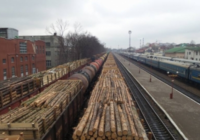 Пограничники обнаружили 29 вагонов с лесом на границе с Приднестровьем