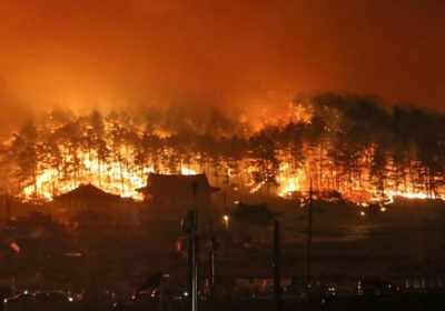 В Южной Корее объявили чрезвычайное положение из-за масштабных пожаров