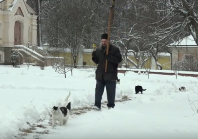 В Росії священник провів хресну ходу з котами, - ВІДЕО