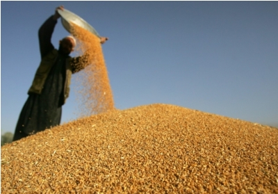 JPMorgan перестав обробляти платежі за експорт зерна з росії