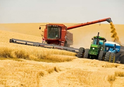 В Україні урожай зерна може знизитися на 20-30%