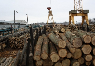 Україна щороку втрачає 2,2 млрд грн від нелегальних схем з вирубкою лісу