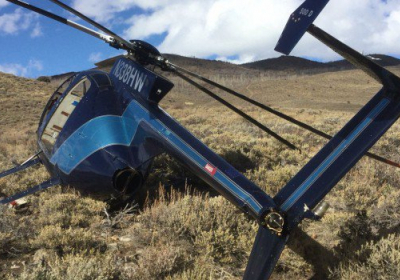 У США гелікоптер впав через дикого лося