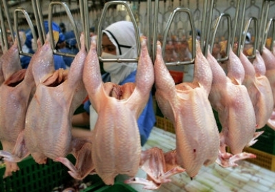 Експорт української птиці збільшився на 45% за рік 