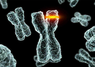 Вчені виявили у 22% з 50 здорових людей генетичні мутації 

