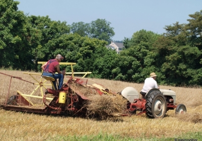 Українські зернотрейдери зупинять експорт пшениці