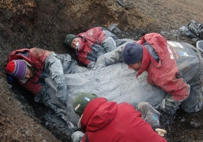 В Угорщині вчені виявили закам'янілого прісноводного монстра