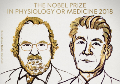 Нобелевскую премию по медицине присудили за терапию рака