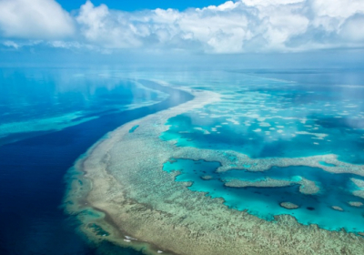 National Geographic признал существование пятого океана - теперь его нанесут на карты