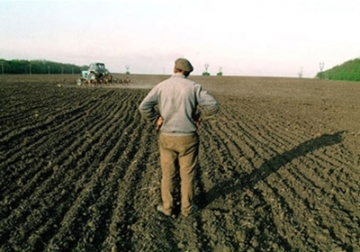 Росія в СОТ: Наслідки для українського агросектора