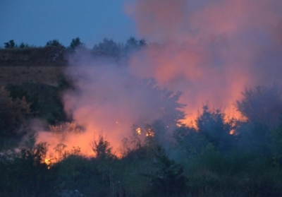 Рятувальники ліквідували пожежу біля Чорнобильської АЕС
