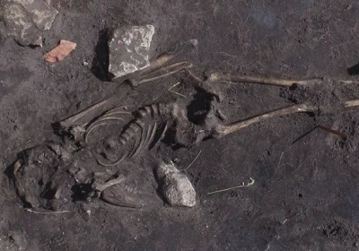 В Швеции археологи наткнулись на следы массового убийства, произошедшего более 1,5 тыс лет назад