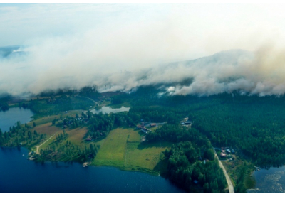 Пожары в Швеции уничтожили 25 тыс гектаров леса