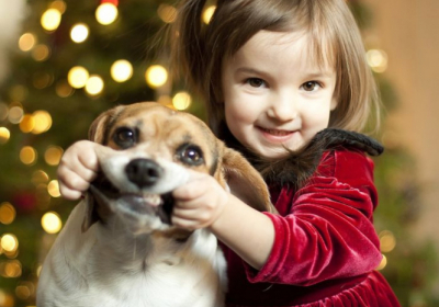 В Україні розпочата програма безкоштовної вакцинації, чіпування та стерилізації домашніх тварин