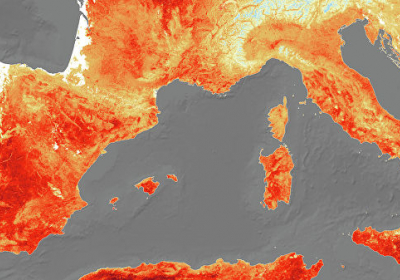 Літо, що минуло, визнано найспекотнішим в Європі за весь час спостереженнь