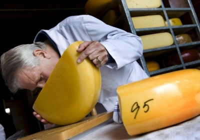 Росіяни почали перевірку українського сиру в лабораторії