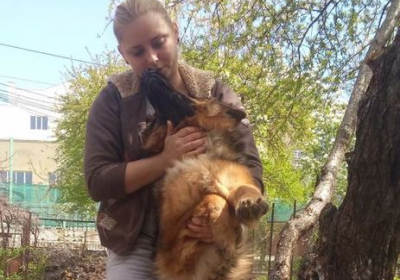 В Одессе задержали женщину, которая разместила в сети видео с подвешиванием собаки