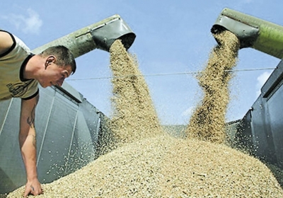 Обмеження експорту зернових не зашкодить українським виробникам, - Fitch
