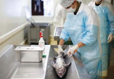 Росія скасує заборону на ввезення риби із Латвії
