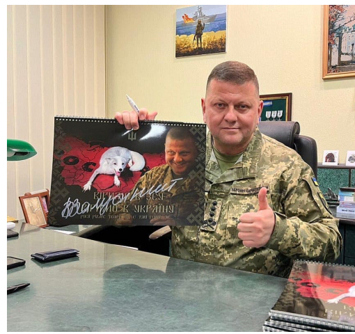 Календарі про військових з автографом Залужного розіграють у лотерею