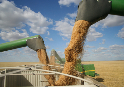Туреччина, Катар та росія говорять про вивезення зерна без України – The Telegraph