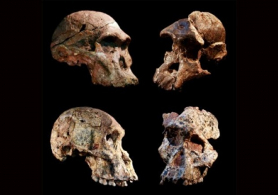 Прапредки людини з печер у ПАР жили на мільйон років раніше, ніж вважалося