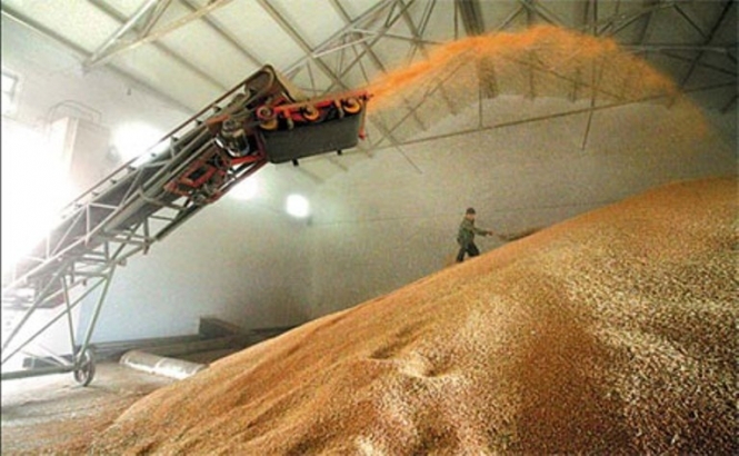 Украина установила рекорд по экспорту зерна