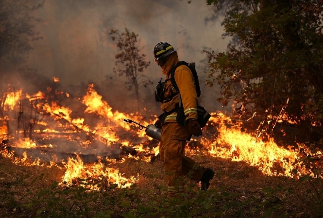 Кількість загиблих внаслідок пожеж в Каліфорнії зросла до 76 людей