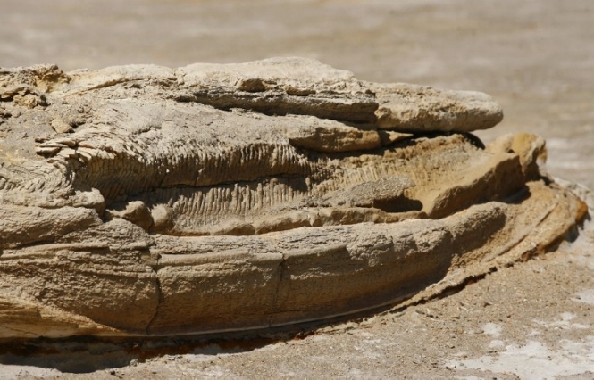 У Перу археологи знайшли тисячорічні мумії дітей