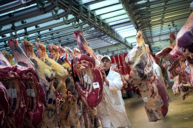 На українському ринку з'явиться свинина і яловичина з Канади