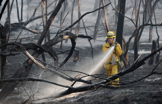 Каліфорнія потерпає від лісових пожеж