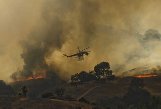 У Каліфорнії палають ліси: у штаті оголосили надзвичайний стан (відео)